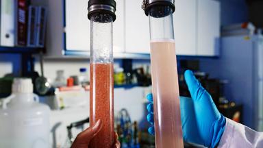 Zwei große, langgestreckte Gläser, ähnlich zweier sehr großer Reagenzgläser, gefüllt mit verschieden-farblg gefärbter Flüssigkeit