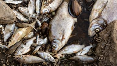 NANO vom 05. Mai 2023