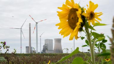 Sonnenblume vor Kraftwerken