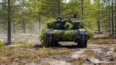 Der Kampfpanzer Leopard 2 getarnt mit Zweigen in einem lichten, sonnendurchfluteten Kiefernwald