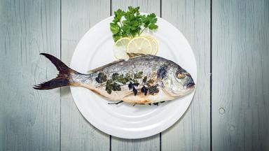 Nahaufnahme von Fisch (Seebrasse) mit Petersilie und Zitrone in Teller auf Holztisch.