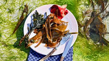 Algen auf Teller mit Messer und Gabel auf Tang und Küchentuch.