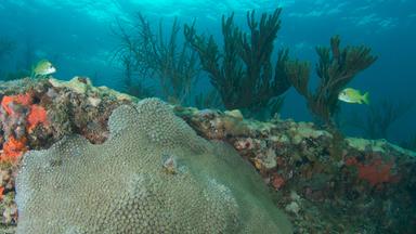 230830_Wetterextreme_nano