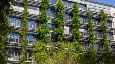 Gebäude mit Begrünung