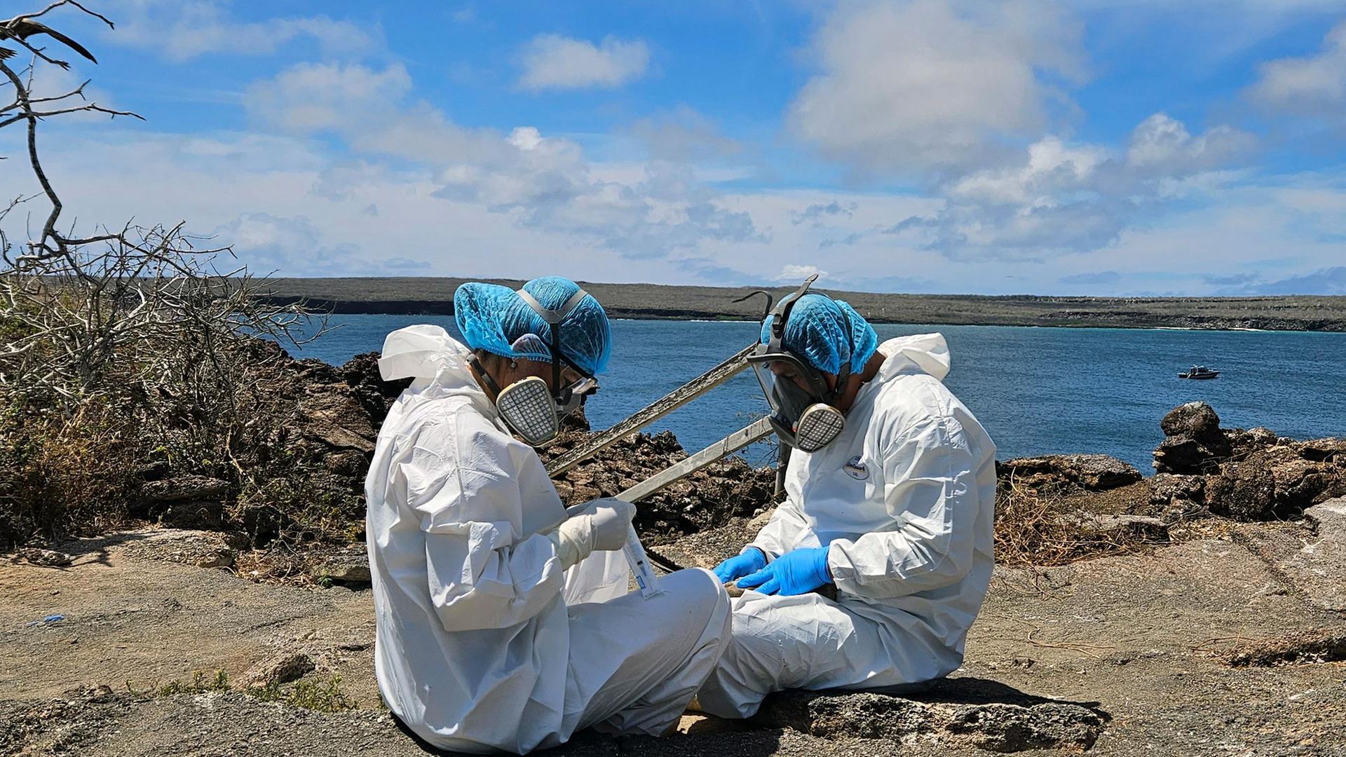 Wissenschaftler auf den Galapagos-Inseln 