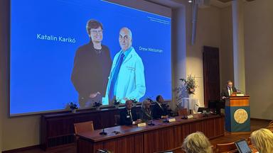 Preisvergabe für Medizin Nobelpreis. Publikum in Vordergrund, dahinter blaue Leinwand mit zwei Personen.