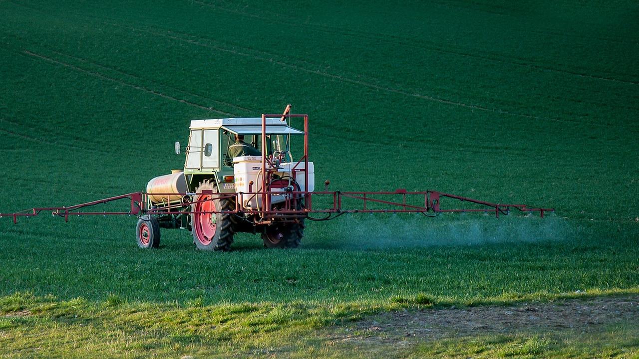 Traktor versprüht Unkrautvernichter auf einem Feld