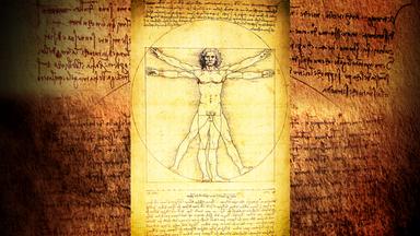 Wissenschaftiche Zeichnung