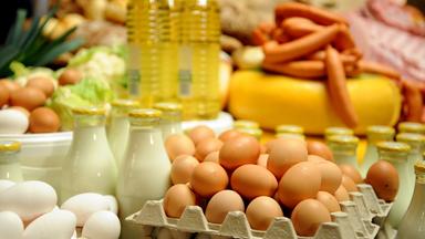 Tierische Lebensmittel auf einem TIsch