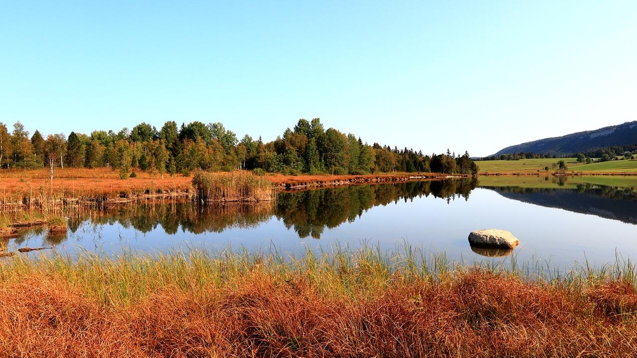 Moorlandschaft