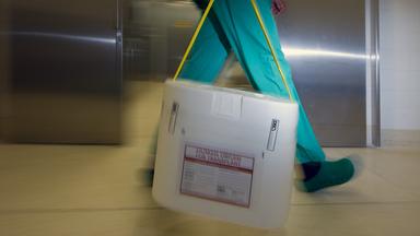 Mann trägt Kühlbox für Organspenden