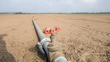 Bewässerungssystem auf einem Feld