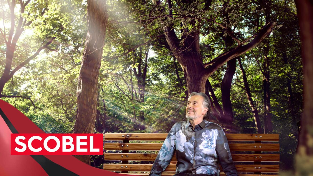 scobel Perfect Days 3satMediathek