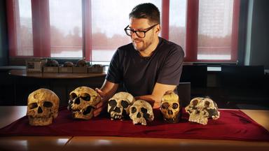 Mehrere Schädelknochen von Neandertalern werden auf einem Tisch gezeigt. Obwohl diese schätzungsweise 400.000 Jahre alt sind, sind sie erstaunlich gut erhalten.