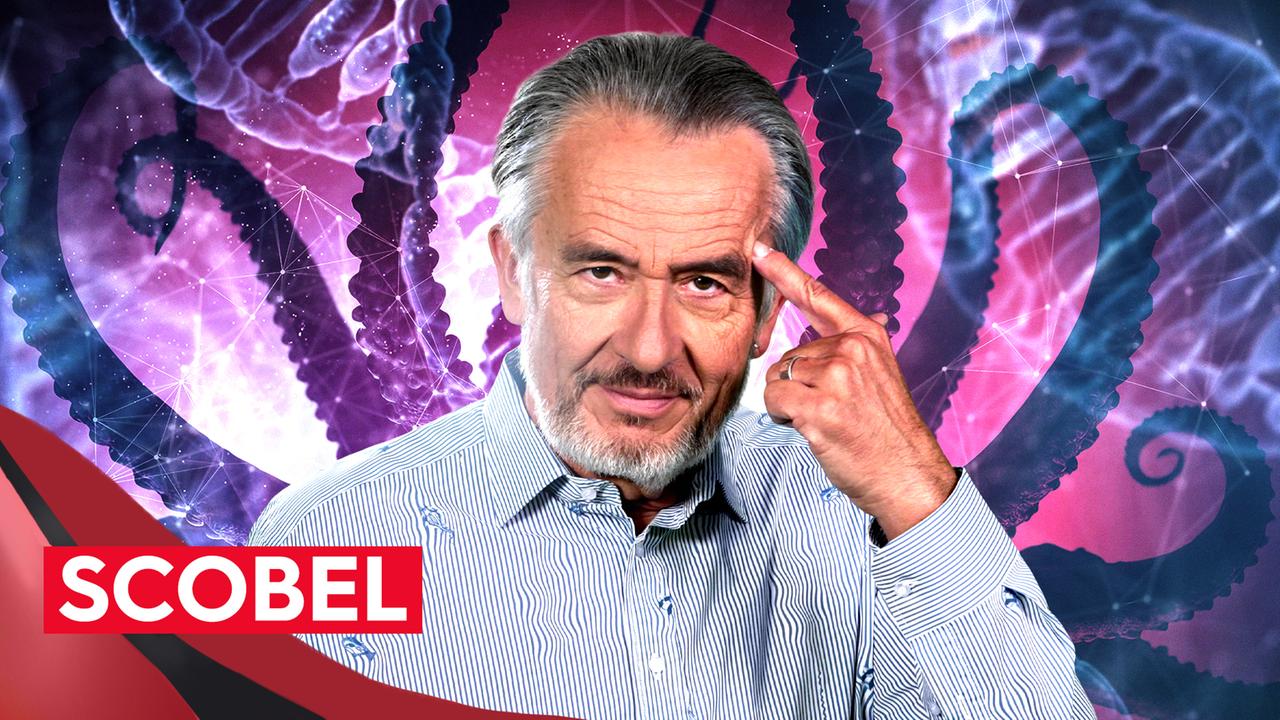 scobel Die Zukunft der Erde 3satMediathek