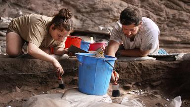 An einer Ausgrabungsstätte in Südafrika legen Forschende der Universität Tübingen mit der Hand Knochenreste frei.