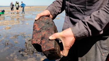 Archeologen untersuchen Funde aus der Nordsee