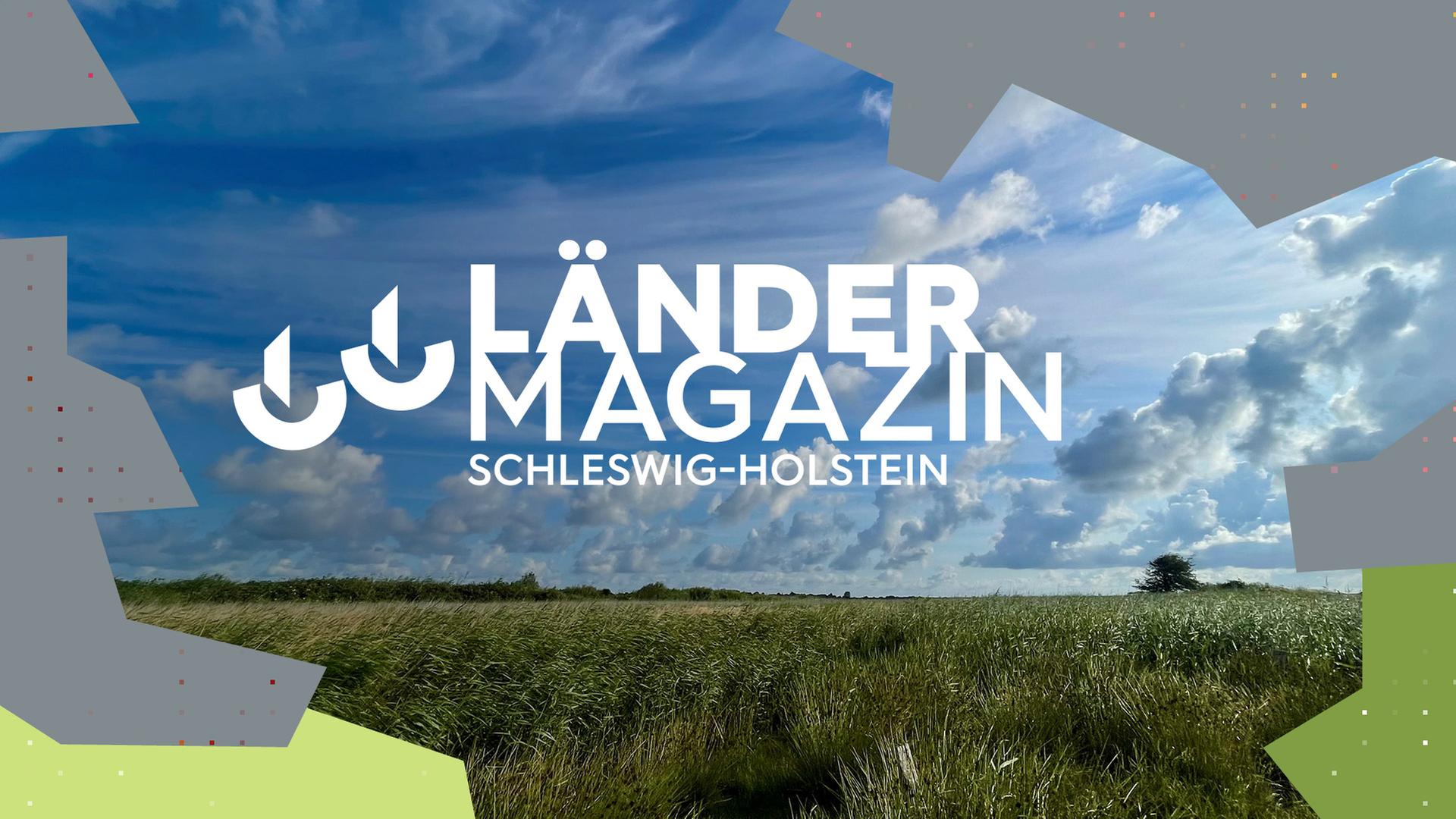 Die Ansicht einer grünen Wiese unter blauem Himmel.