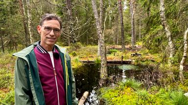 Gregor Steinbrenner im Moor