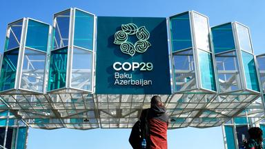 Symbolbild  COP 29