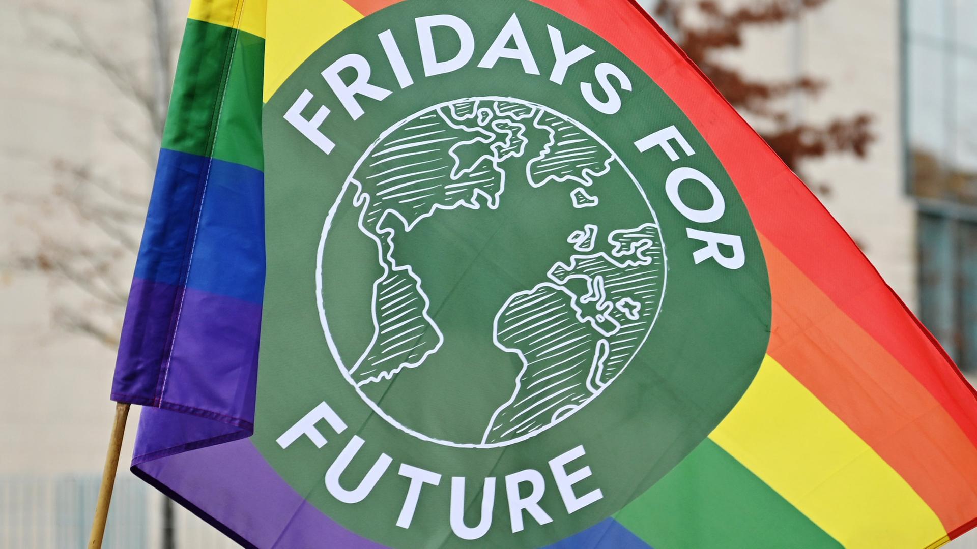 Fahne "Fridays for future"