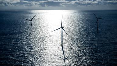 Windpark im Meer