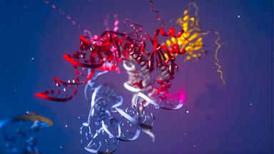 Grafische Darstellung eines Proteins, bestehend aus miteinander verschlungenen Aminosäureketten.