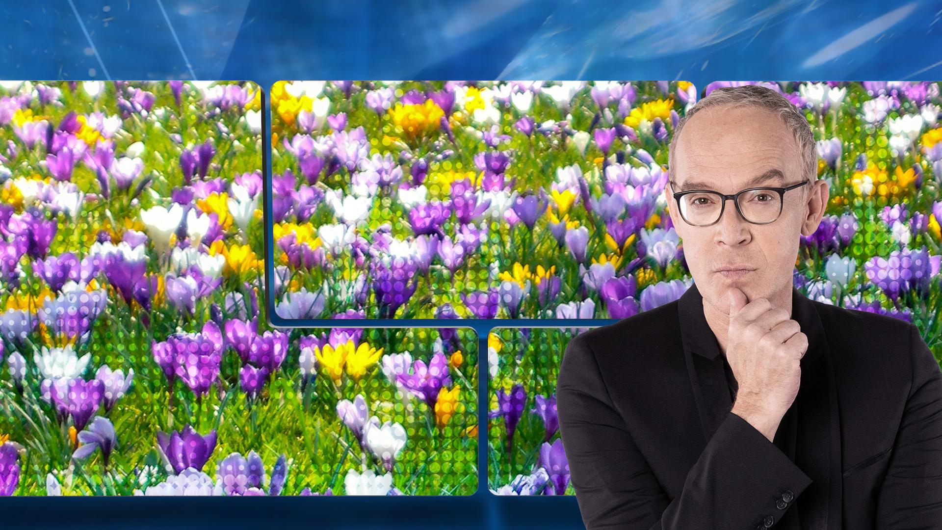 Moderator Christoph Süß mit Blumen im Hintergrund