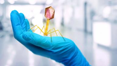 Eine Bakteriophage wird symbolisch in klinisch reinen Händen gehalten.