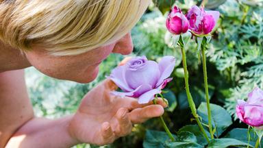 Frau riecht an einer Blume