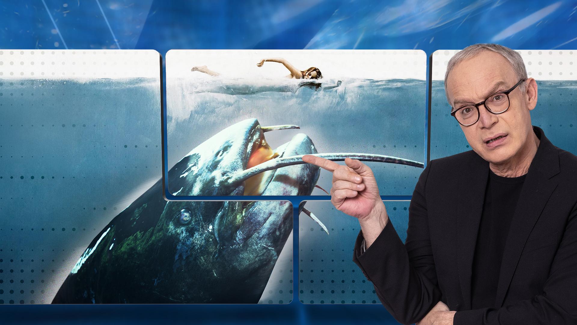 Der Moderator vor einer Videowand, auf der ein riesiger Fisch im Wasser zu sehen ist. Drüber schwimmt eine Frau.