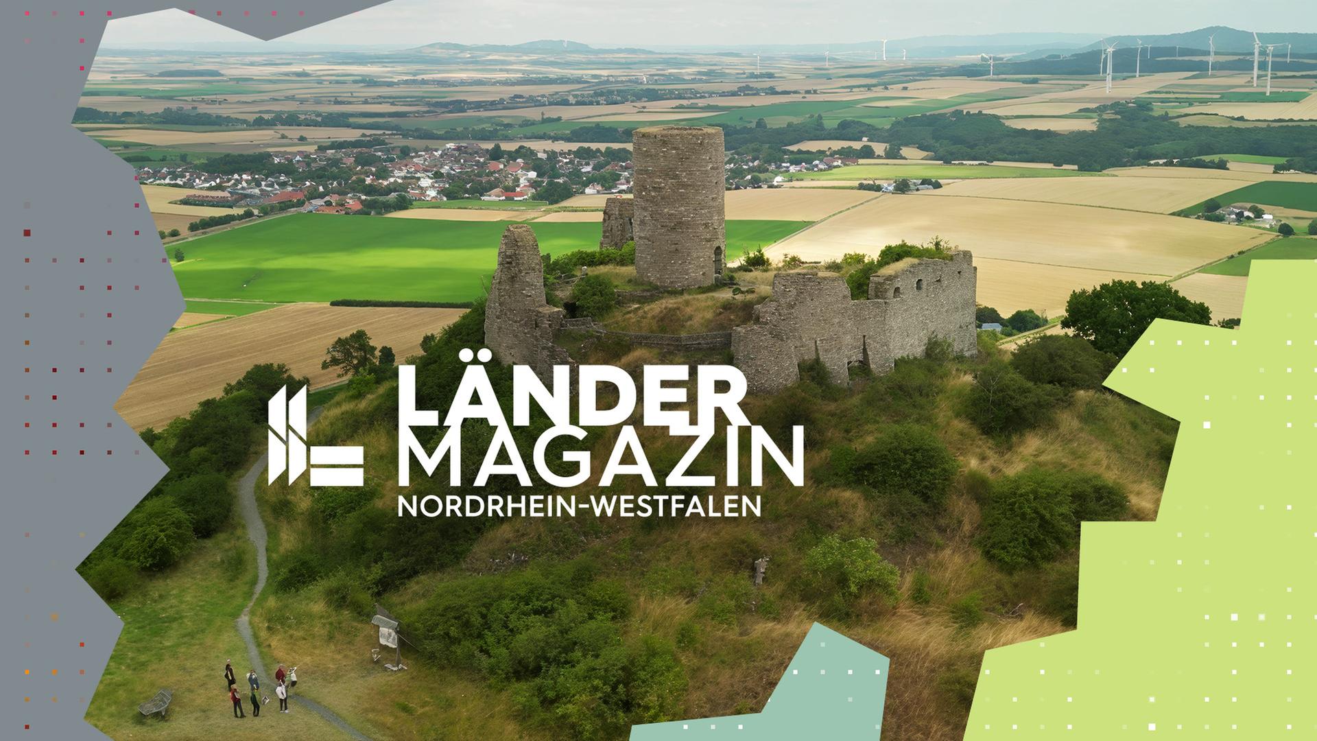 Luftansicht einer Burgruine.