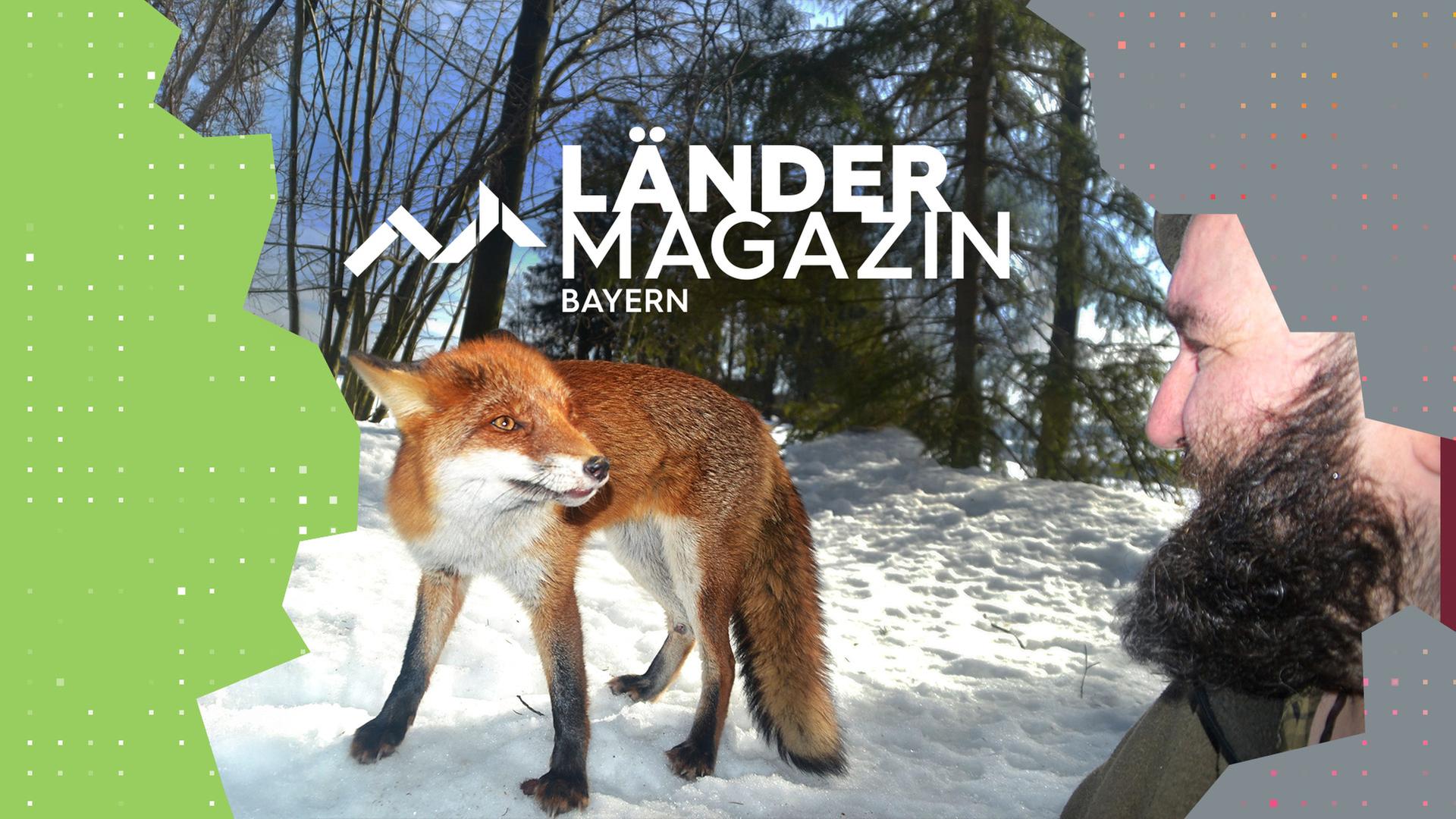 Ein bärtiger Mann mit Hut Auge in Auge mit einem Fuchs.