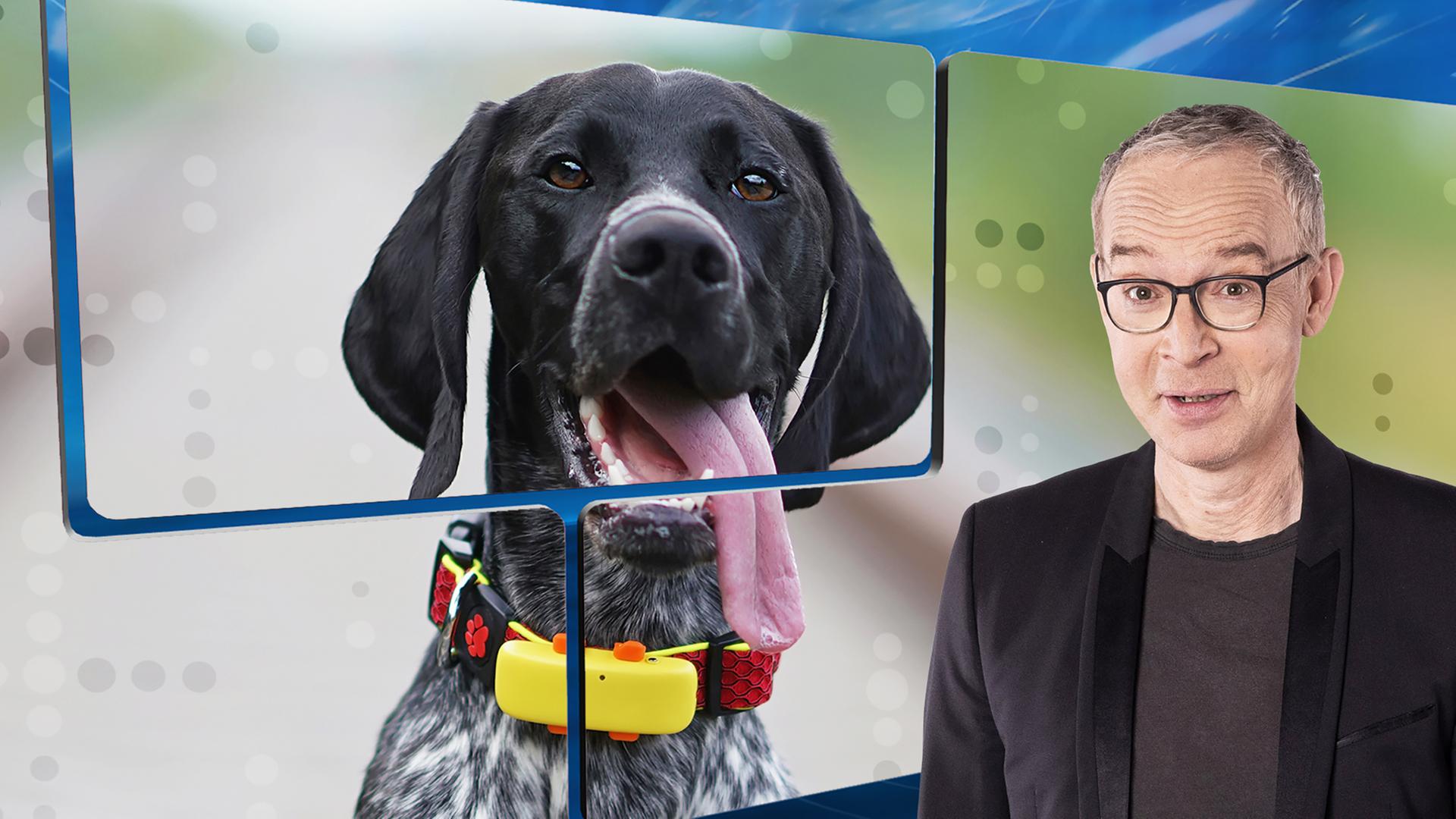 Der Moderator mit amüsiertem Blick vor einer Videowand, auf der ein Hund mit hängender Zunge zu sehen ist.