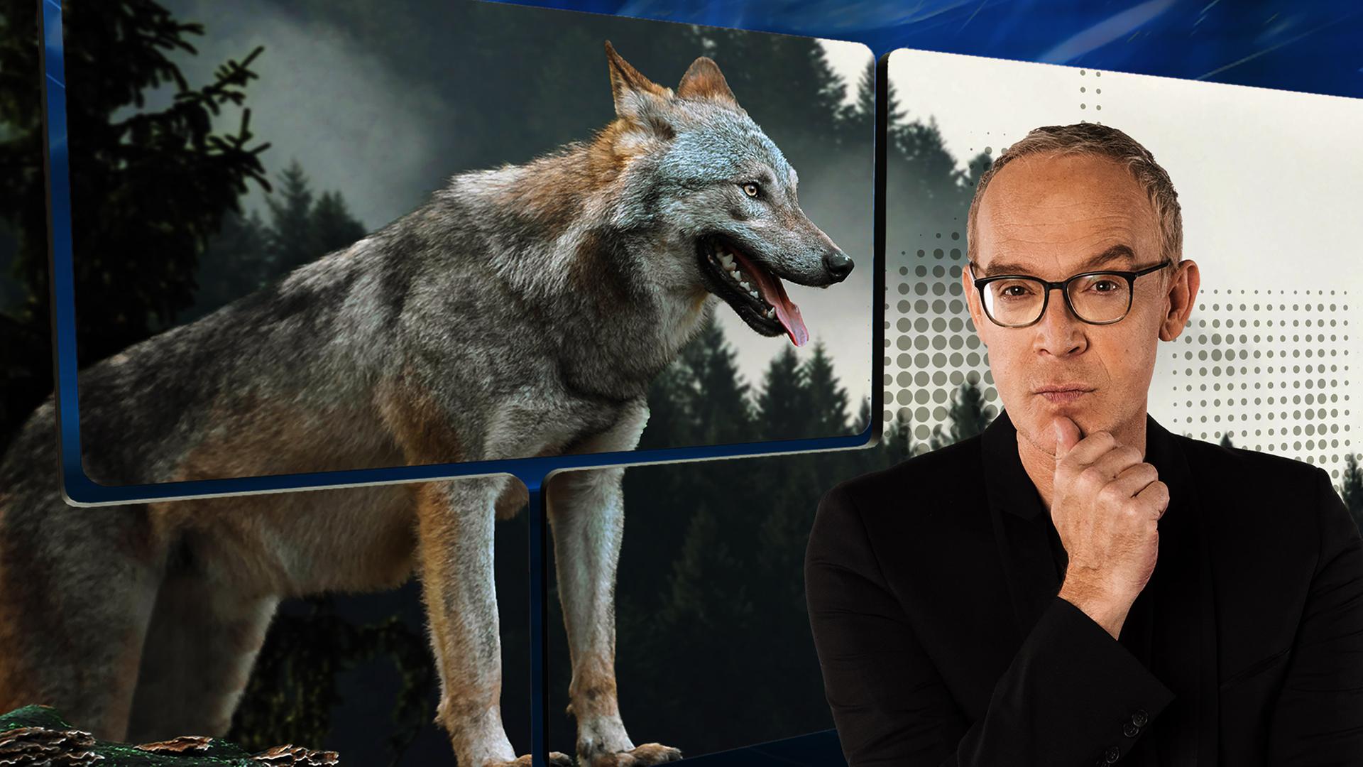 Christoph Süß mit nachdenklichem Gesicht vor einer Videowand, auf der ein Wolf zu sehen ist.