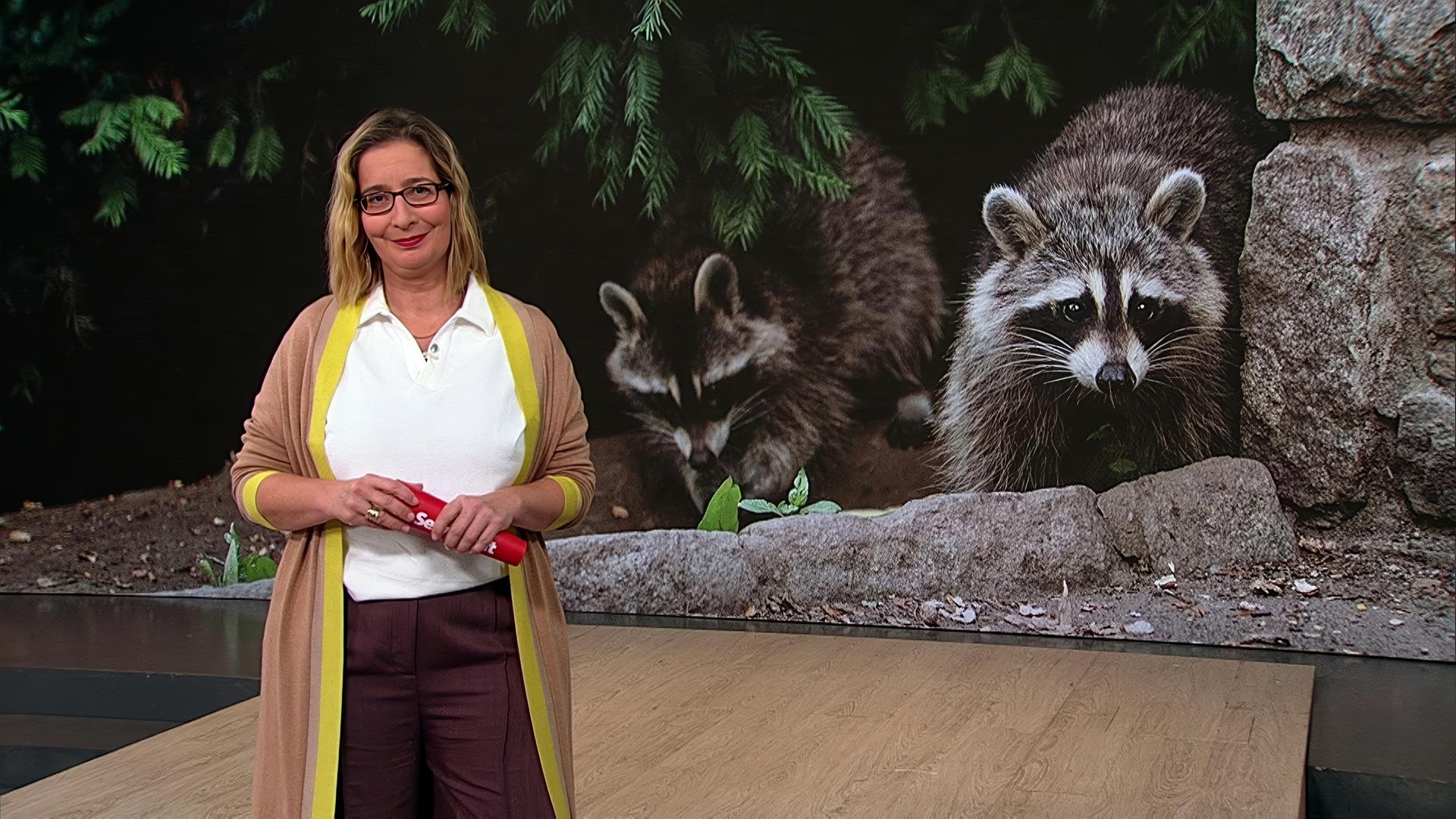 Moderator:in im Servicezeit Studio.