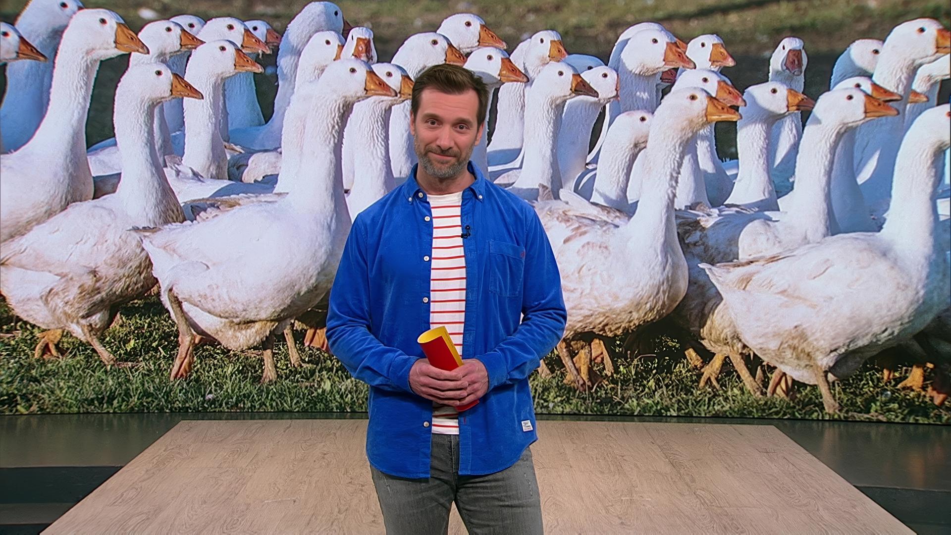 Das Bild zeigt Daniel Aßmann im Sz Studio.
