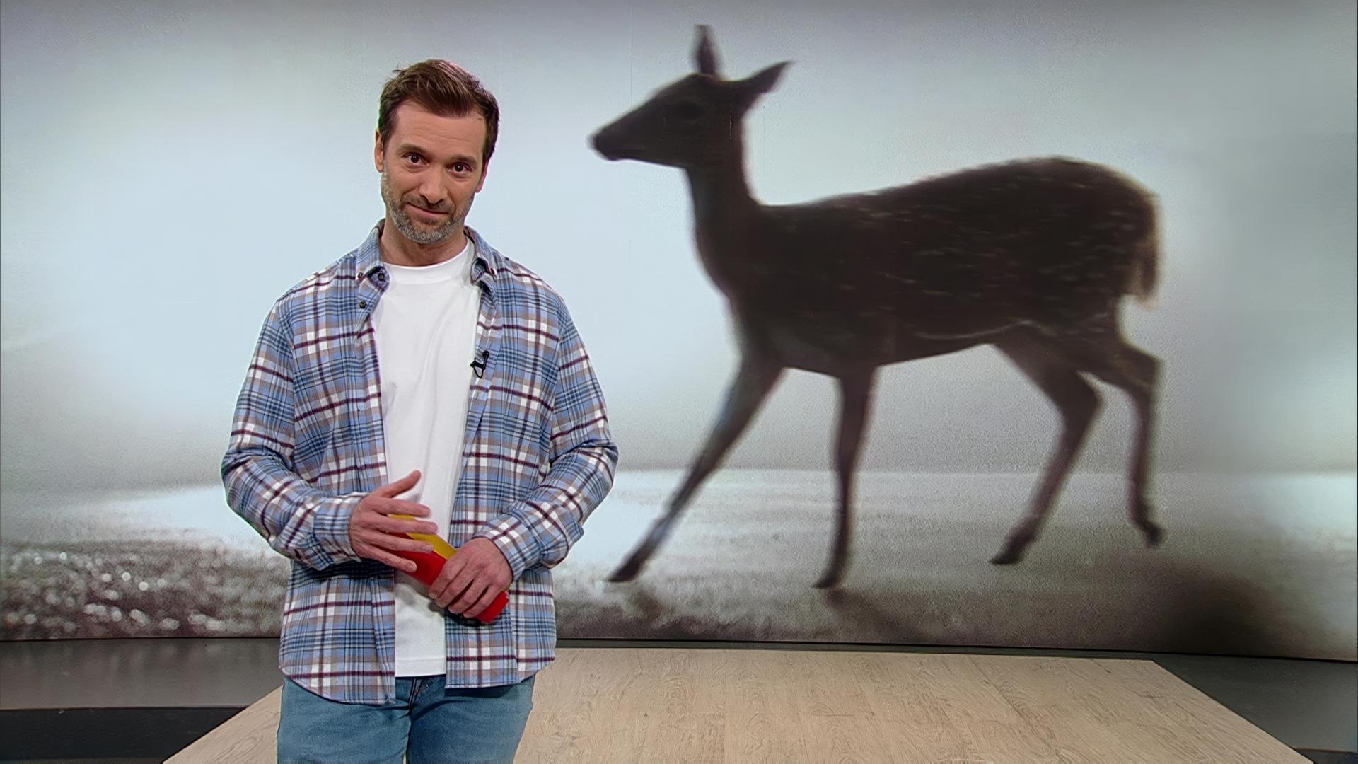 Moderator Daniel Aßmann im Servicezeit Studio