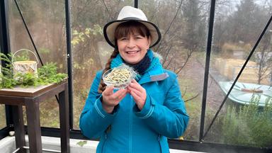 Sabrina Nitsche erntet Haselnusskätzchen im Querbeet-Garten.