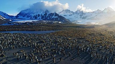 Filmemacher Yann Arthus-Bertrand ist es gelungen, die Vielfalt unserer Erde in großartigen Bildern einzufangen.