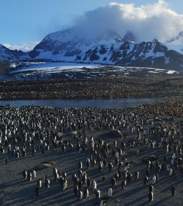 . Filmemacher Yann Arthus-Bertrand ist es gelungen, die Vielfalt unserer Erde in großartigen Bildern einzufangen.