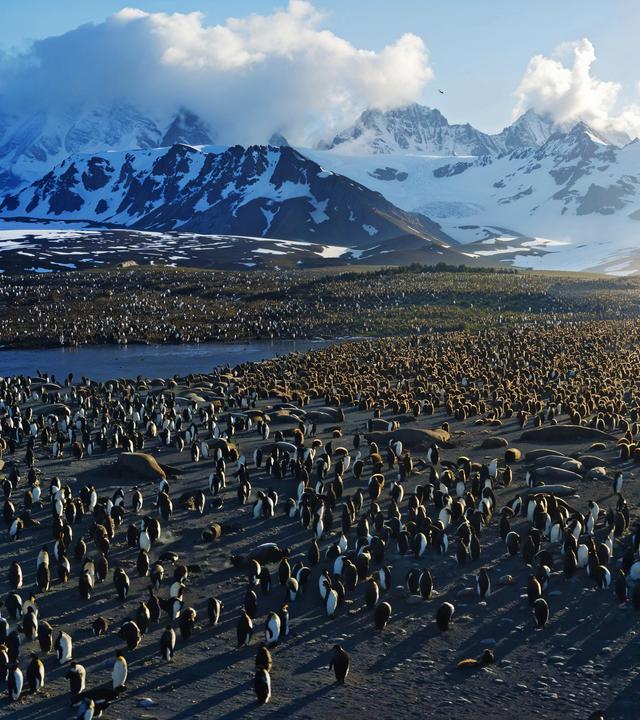 Filmemacher Yann Arthus-Bertrand ist es gelungen, die Vielfalt unserer Erde in großartigen Bildern einzufangen.