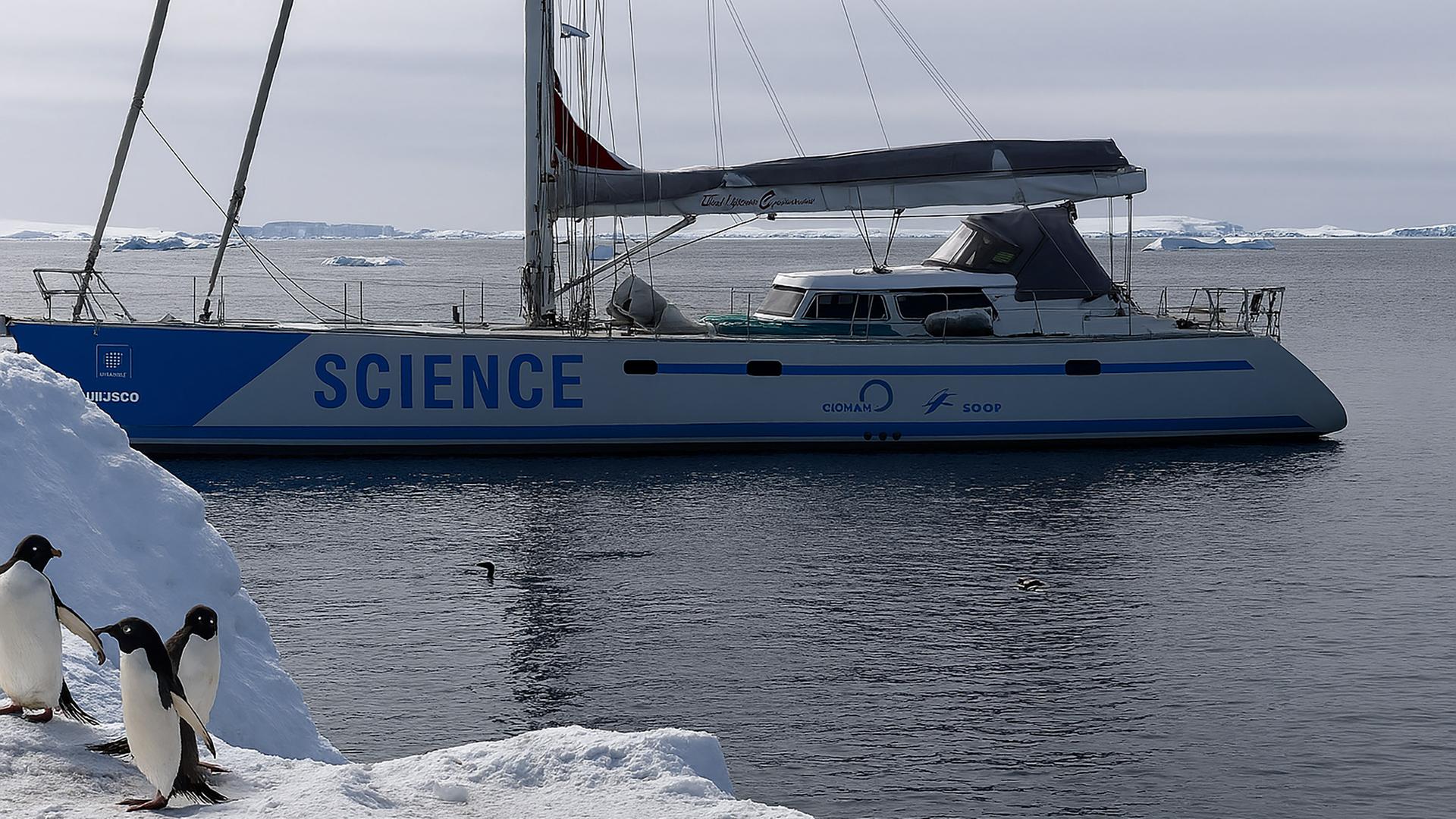 Forscher segeln in die Antarktis, um Pinguine, Klima und Plastik zu erforschen. (Bild zeigt Pinguine im Eis, neben ihnen steht Simeon Lisovski mit gelber Jacke)