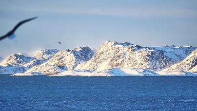 Die Arktis erwärmt sich viermal schneller als der Rest der Welt. Das öffnet Seewege und weckt Begehrlichkeiten der Großmächte. Trump zeigt Interesse