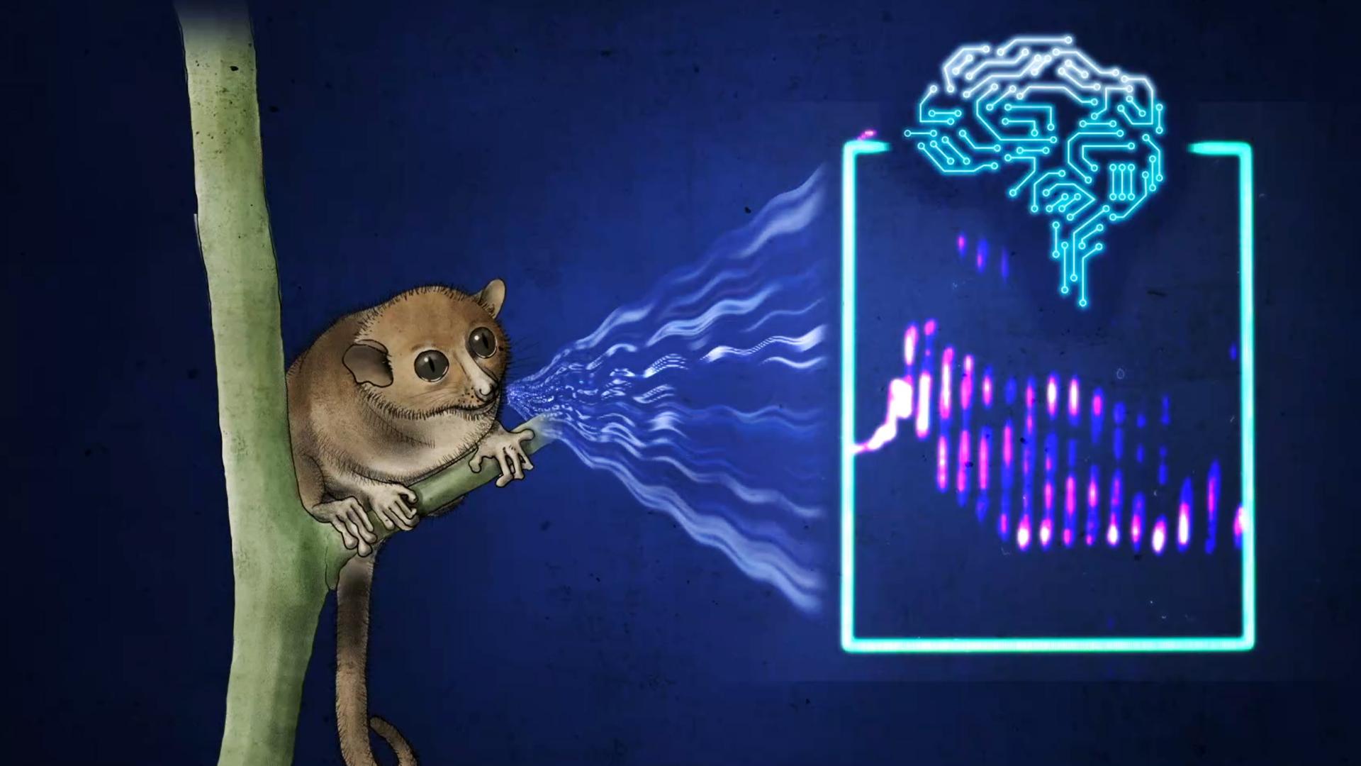 Können wir Tiere bald besser verstehen? 