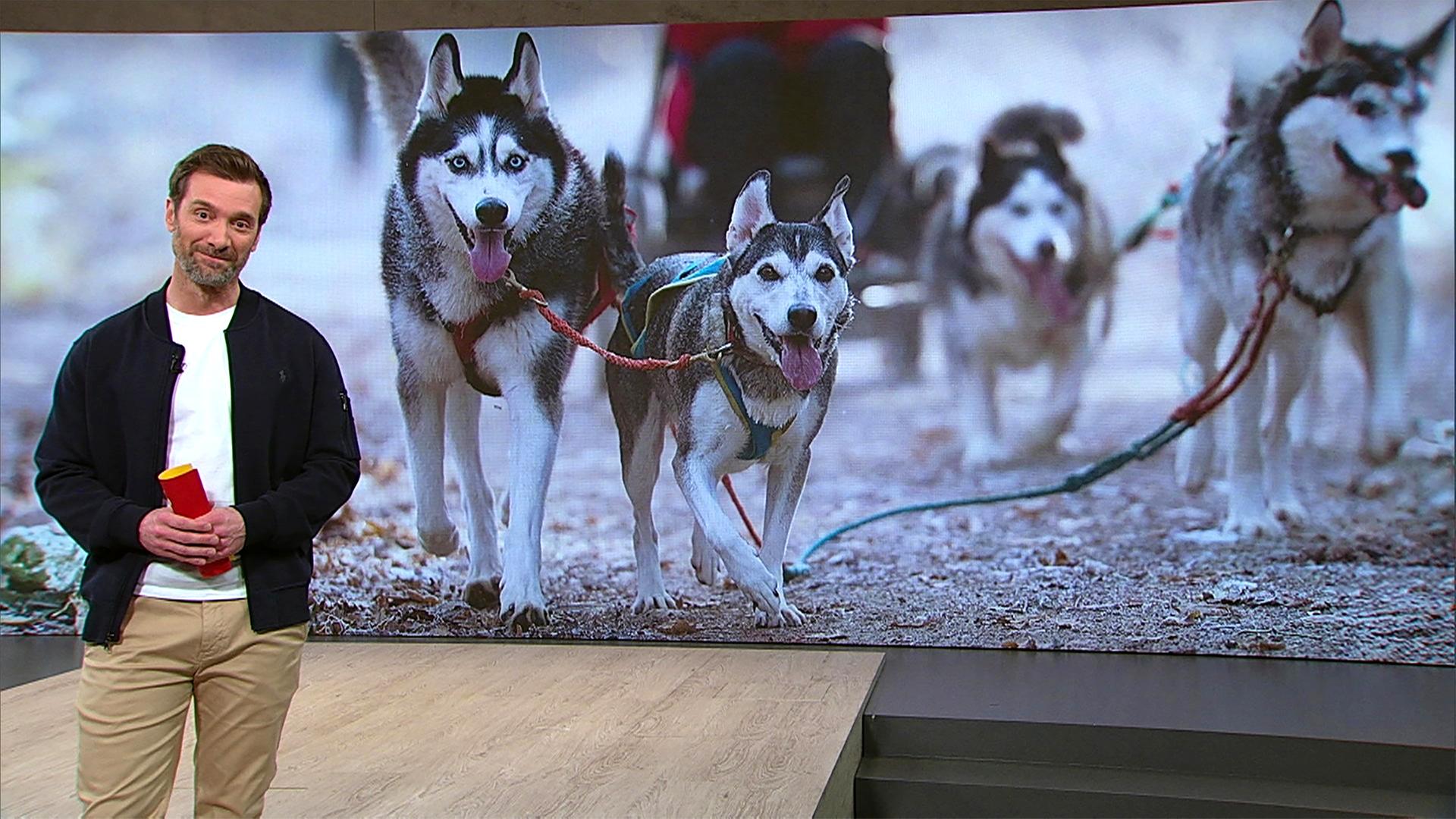 Moderator im Servicezeit-Studio.