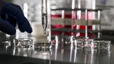 Chinas Biotech-Boom verspricht innovative Krebsmittel zu fairen Preisen. (Bild zeigt eine Szene im meizinischen Labor)