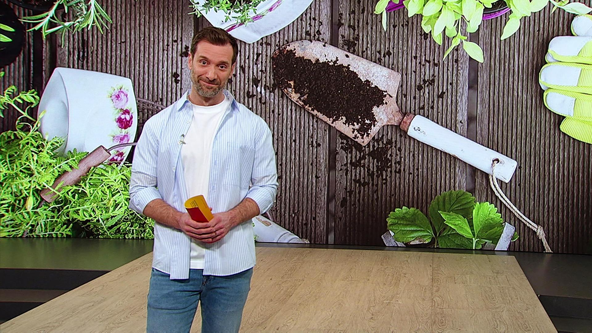 Moderator im Studio.