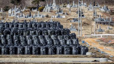 Fukushima: Große Haufen radioaktiv kontaminierter Erde in Säcken auf einem Sammelplatz