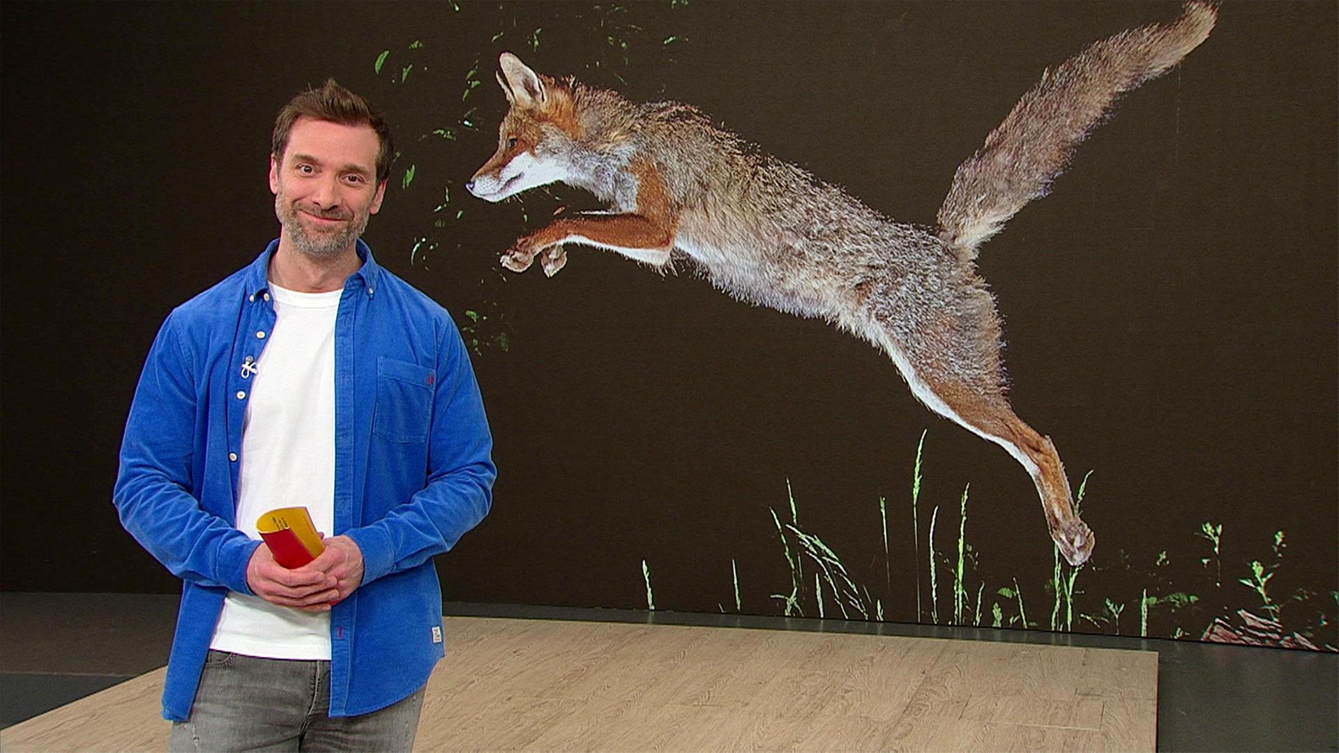 Daniel Aßmann und im Hintergrund ein Bild von einem Fuchs.